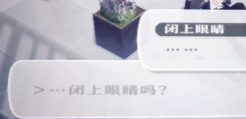相册图片