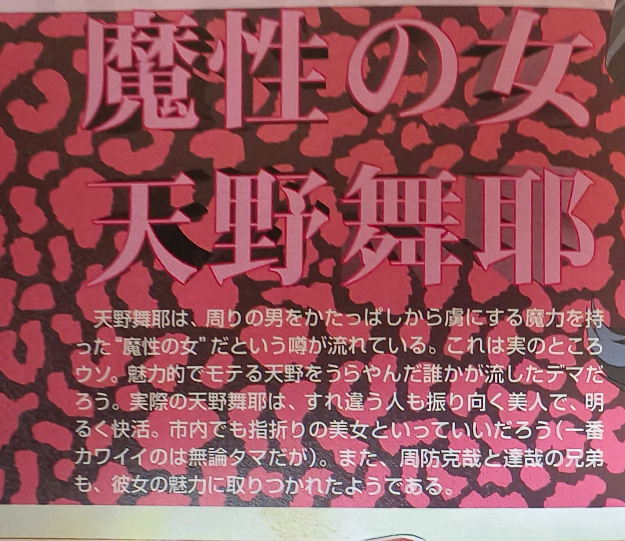 相册图片