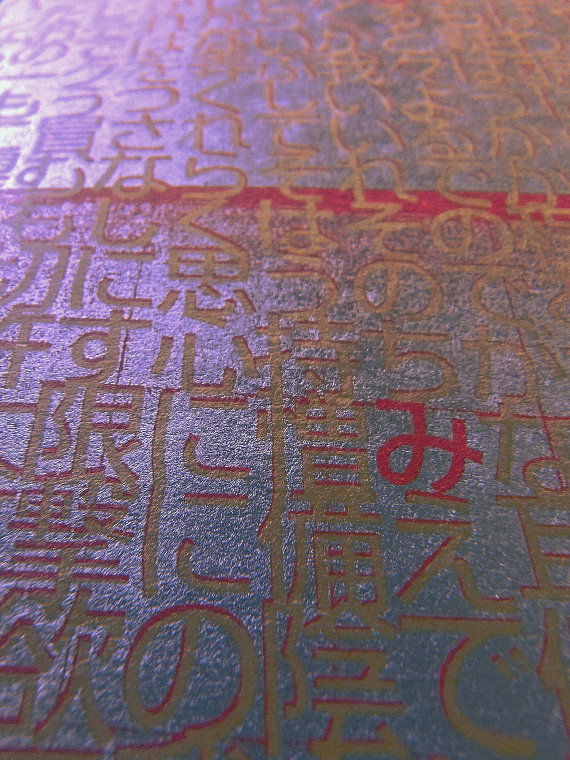 相册图片