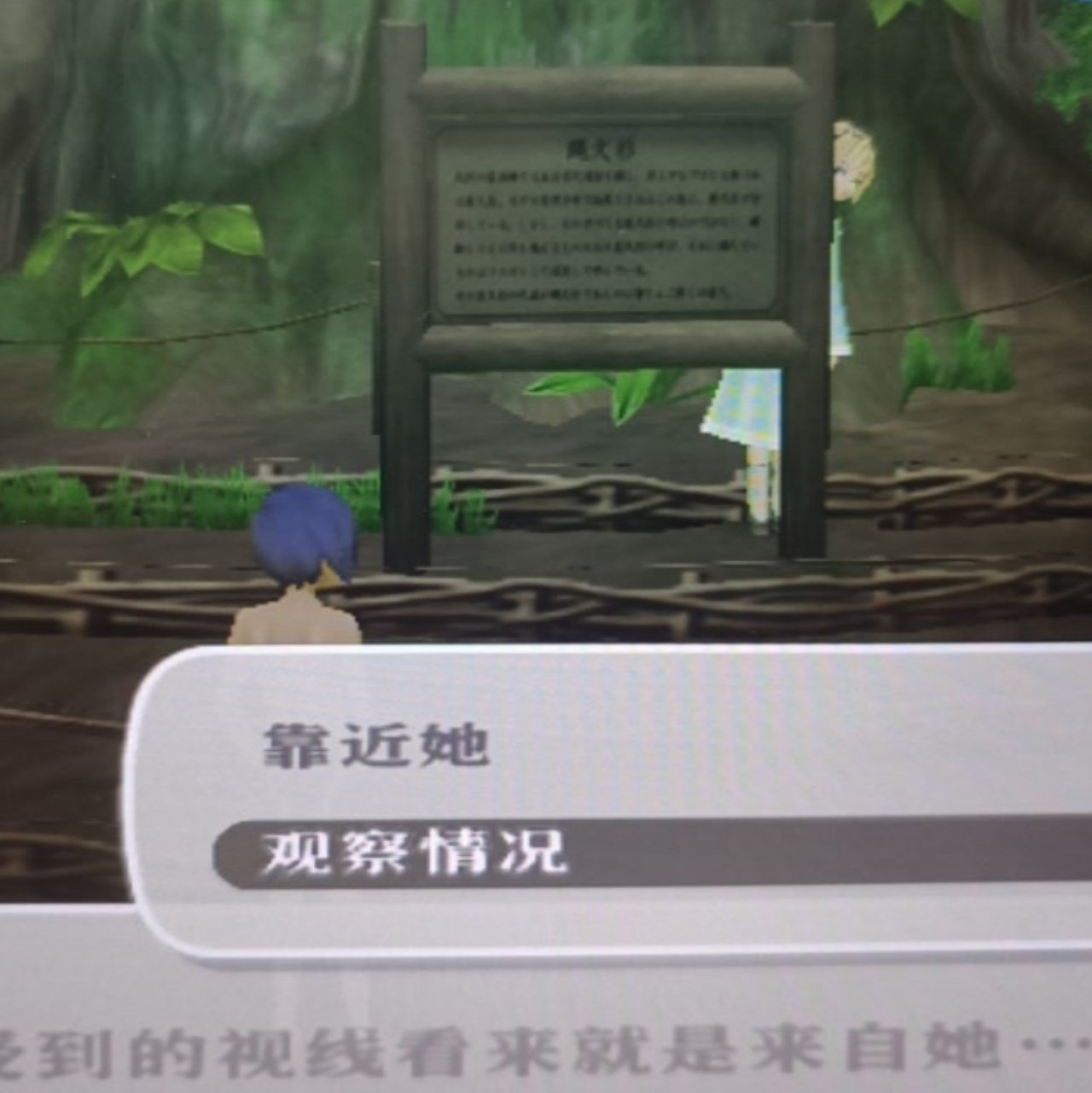 相册图片