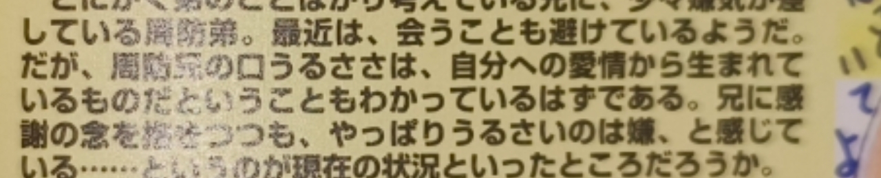 相册图片