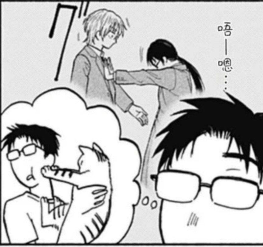 相册图片