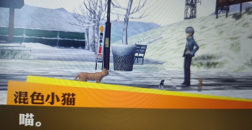 相册图片