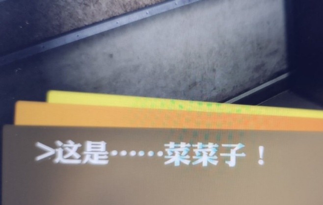 相册图片