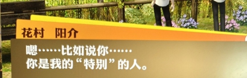 相册图片