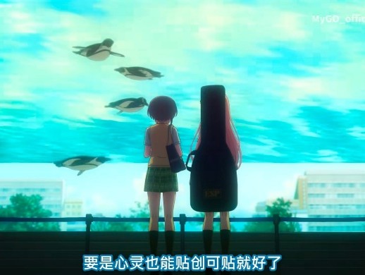 相册图片