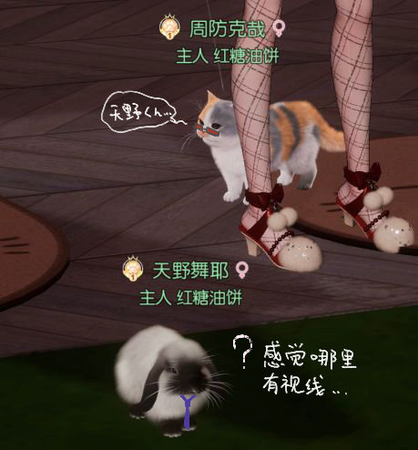 相册图片