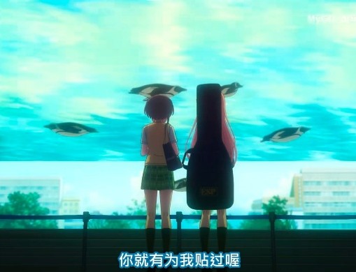 相册图片