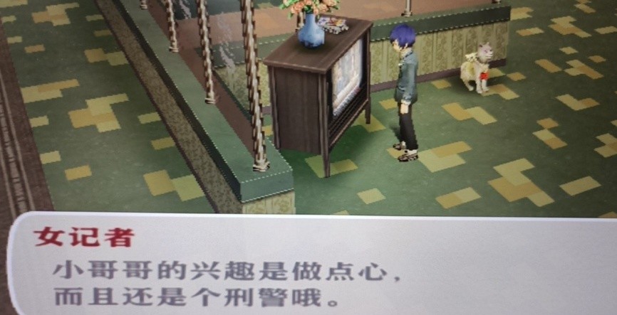 相册图片