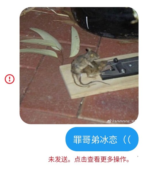 相册图片
